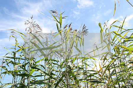 小伙欠12萬信用卡(小伙欠12萬信用卡)