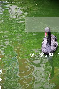 小伙欠7万网贷(欠了7万网贷)