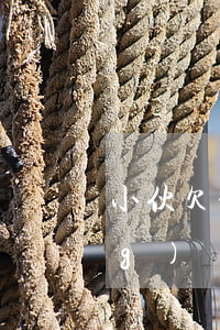 小伙欠一身網(wǎng)貸(欠網(wǎng)貸2萬多)