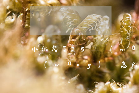 小伙欠了25萬網(wǎng)貸 欠25萬網(wǎng)貸怎么跟家里人坦白