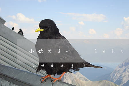 小伙欠了一個網(wǎng)貸(欠了兩萬網(wǎng)貸)