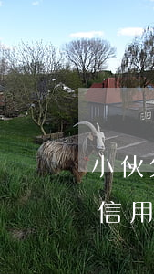 小伙欠信用卡20萬還不上怎么辦-小伙欠信用卡20萬還不上怎么辦呢