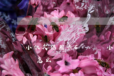 小伙欠信用卡6萬塊錢(小伙欠信用卡6萬塊錢怎么辦)