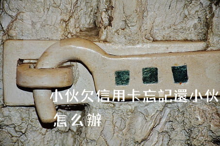 小伙欠信用卡忘記還(小伙欠信用卡忘記還了怎么辦)