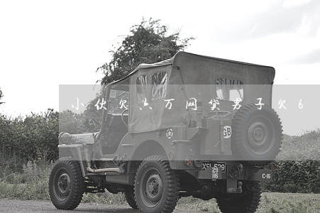 小伙欠六万网贷(男子欠6万网贷)