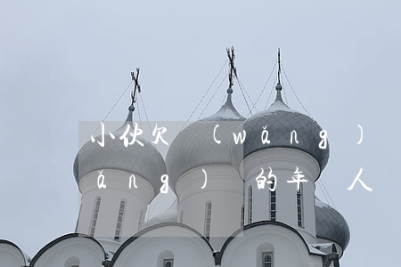 小伙欠網(wǎng)貸90多家(欠網(wǎng)貸的年輕人)