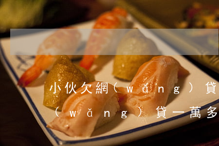 小伙欠網(wǎng)貸一萬多塊錢-欠網(wǎng)貸一萬多塊錢會被起訴嗎