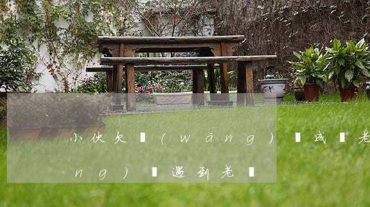 小伙欠網(wǎng)貸成為老賴(網(wǎng)貸遇到老賴)