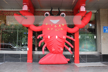 小伙欠網貸的后果心態(tài)(拖欠網貸會有什么后果)