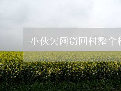 小伙欠网贷回村(整个村借网贷不还)
