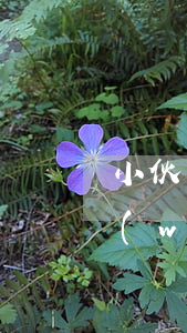 小伙網(wǎng)貸逾期負債累累(小伙網(wǎng)貸逾期負債累累)