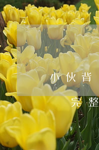 小伙背負(fù)巨額貸款無(wú)力償還完整版-小伙還款遭遇