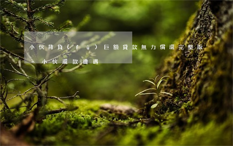 小伙背負(fù)巨額貸款無力償還完整版-小伙還款遭遇