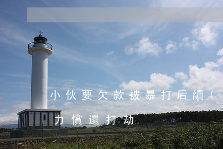 小伙要欠款被暴打后續(xù)（小伙借貸無力償還打劫）