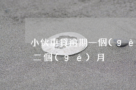 小伙車貸逾期一個(gè)月(我的車貸逾期二個(gè)月)