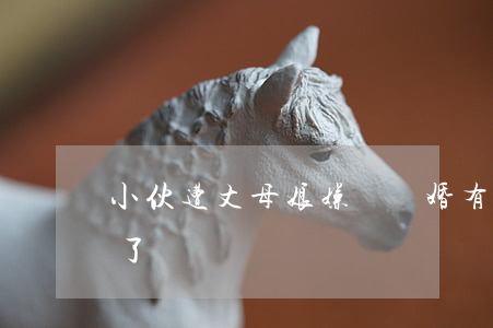 小伙遭丈母娘嫌棄離婚(有沒有被老丈人嫌棄了)