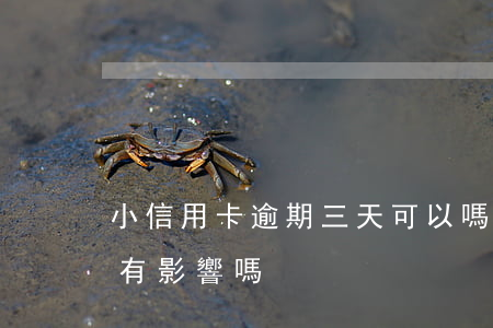 小信用卡逾期三天可以嗎(信用卡逾期二三天有影響嗎)