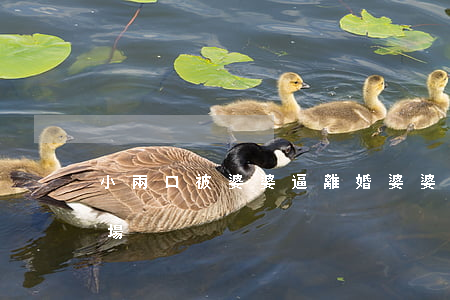 小兩口被婆婆逼離婚(婆婆挑撥兒子離婚的下場)