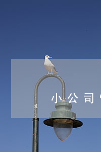 小公司管理制度(小公司規章制度)