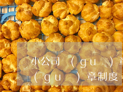 小公司規(guī)章制度范本(小公司的規(guī)章制度)