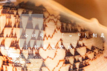 小公司財務(wù)制度(小公司財務(wù)制度完整版)