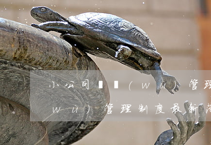 小公司財務(wù)管理制度，小公司財務(wù)管理制度最新范本
