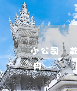 小公司貸款逾期1個多月(銀行貸款逾期一個月)