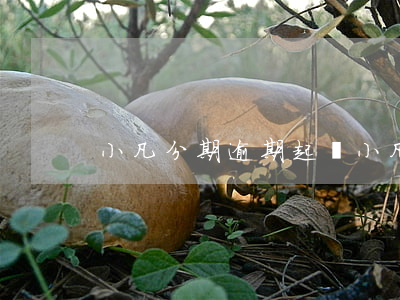 小凡分期逾期起訴 小凡分期逾期起訴