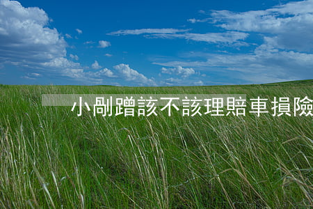 小剮蹭該不該理賠，車損險還要買嗎？