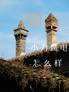 小力鹰电动车逾期了(小力鹰电动车逾期了会怎么样)