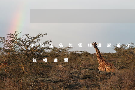 小包工头欠钱找谁起诉(小包工头拖欠农民工钱找谁要)