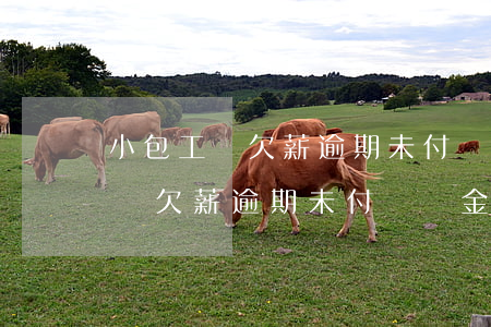小包工頭欠薪逾期未付違約金多少-小包工頭欠薪逾期未付違約金多少合理