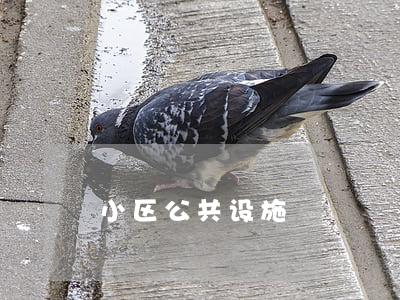 小区公共设施