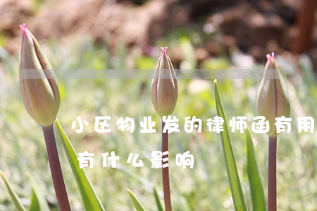 小区物业发的律师函有用吗(物业下律师函会有什么影响)