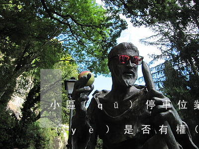 小區(qū)停車位業(yè)主共有，物業(yè)是否有權(quán)收取停車費