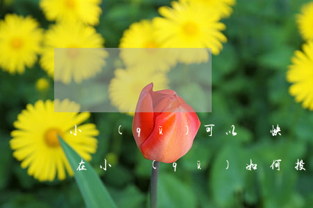 小區(qū)可以開快遞公司違法嗎(快遞開在小區(qū)如何投訴)