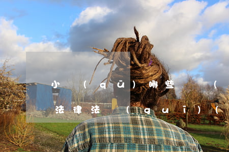 小區(qū)哪些資產(chǎn)有沒有法律法規(guī)(我國目前關(guān)于房地產(chǎn)產(chǎn)權(quán)產(chǎn)籍管理的法律法規(guī)有哪些)