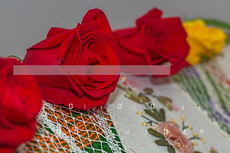 小區(qū)業(yè)委會(huì)的職責(zé)與使命
