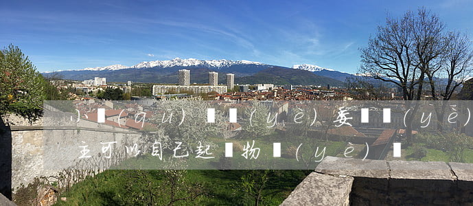 小區(qū)無業(yè)委會業(yè)主可以自己起訴物業(yè)嗎