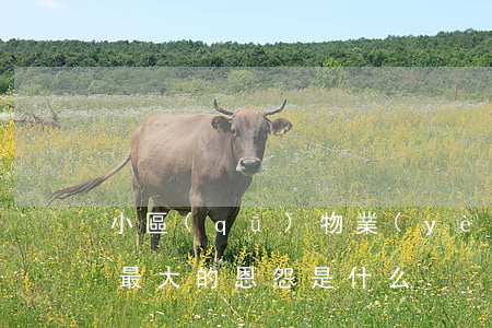 小區(qū)物業(yè)與業(yè)主最大的恩怨是什么
