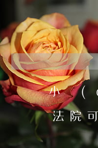 小區(qū)的房子法院拍賣可以分開賣嗎(法院可以直接拍賣房子嗎)