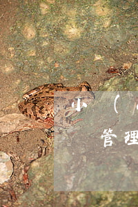 小區(qū)車輛管理制度(小區(qū)車輛管理制度與應(yīng)急預(yù)案)