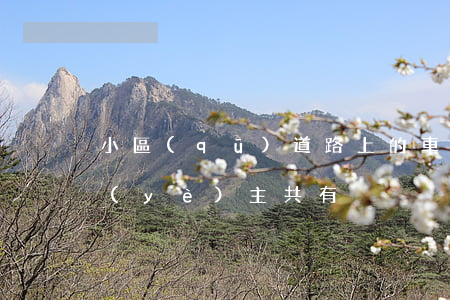 小區(qū)道路上的車位是否屬于全體業(yè)主共有