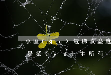 小區(qū)電梯收益應歸物業(yè)還是業(yè)主所有