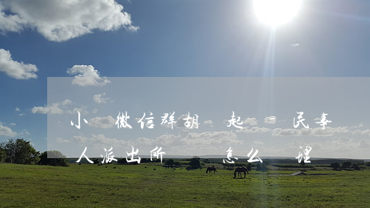 小區微信群胡說起訴-民事糾紛微信群里罵人,派出所處罰,怎么處理