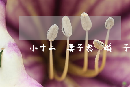 小十二歲妻子要離婚(兒子十二歲夫妻要離婚)