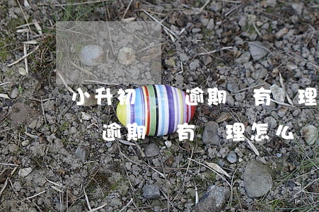 小升初搖號逾期沒有辦理怎么辦-小升初搖號逾期沒有辦理怎么辦呢