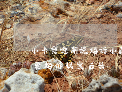 小卡贷逾期说起诉(小赢卡贷逾期还不上,对方要起诉报案,后果)
