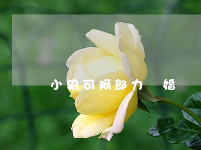 小史可 阿部力離婚