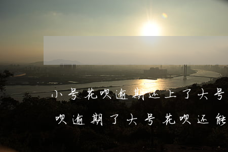 小号花呗逾期还上了大号还能用不-小号花呗逾期了,大号花呗还能用吗